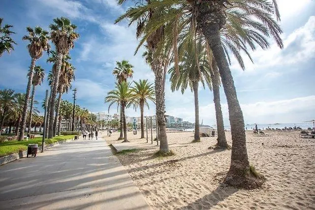 Apartbeach Adriatico 518 Vistas Playa Y Climatizado ラ・ピネーダ アパート